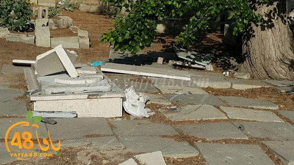 tasoo adrarr3 (10).jpg